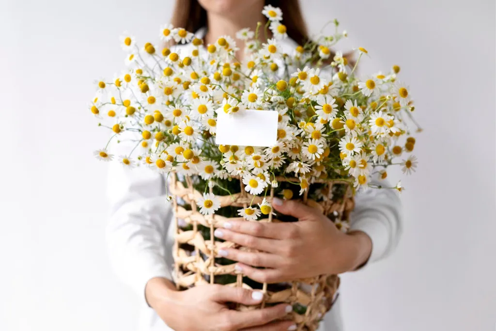 hands-holding-basket-with-flowers-close-up_23-2149053746.jpg