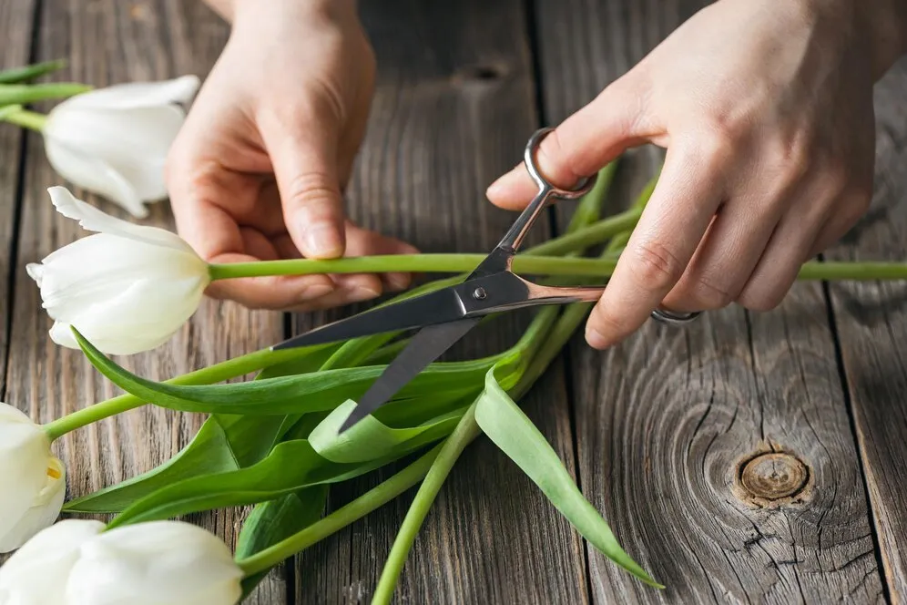 florist-girl-makes-bouquet-tulips-flowers-cuts-ends-with-shears_169016-51263.jpg