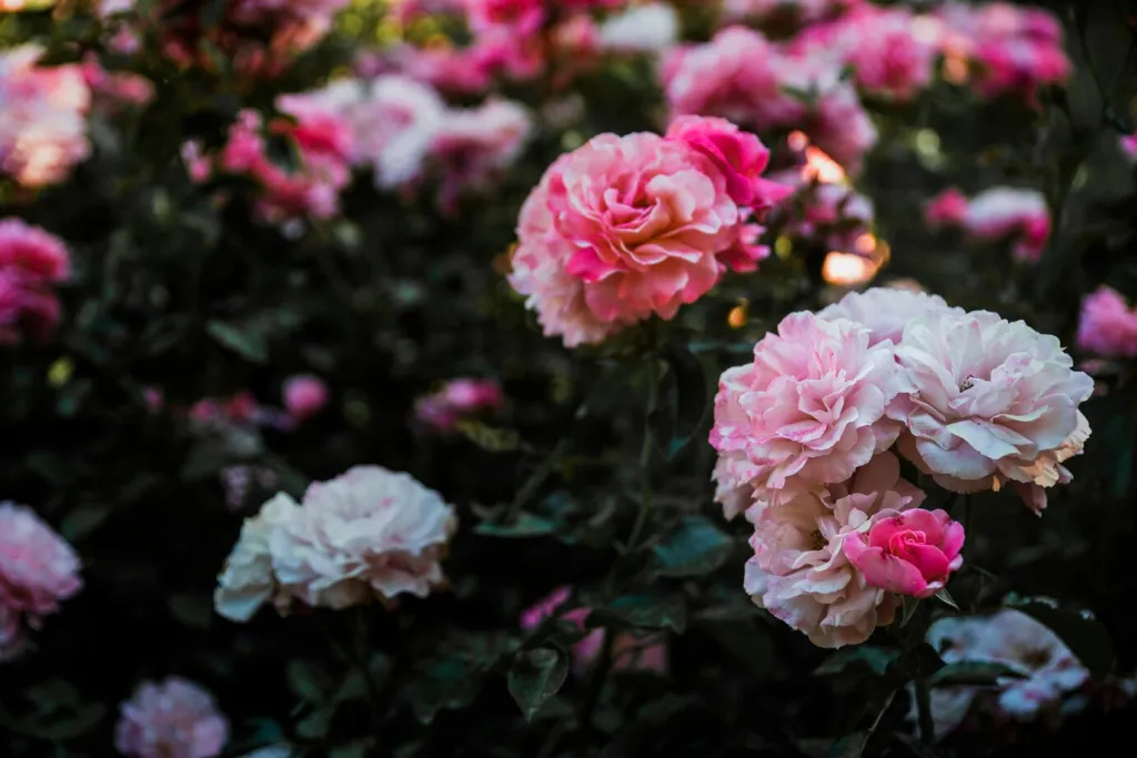 heads-amazing-flowers-shrub_23-2147829211.jpg
