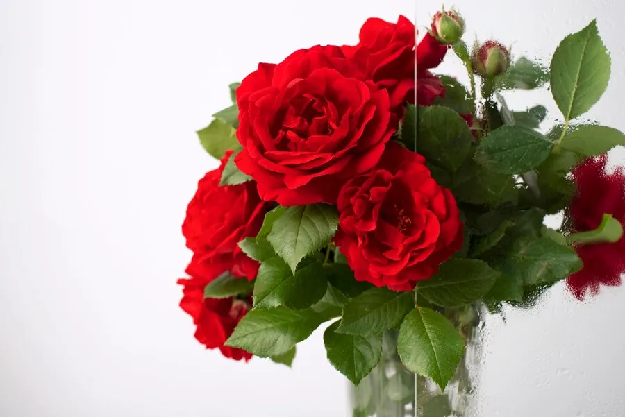 beautiful-flowers-seen-humidity-glass_23-2149453644.jpg