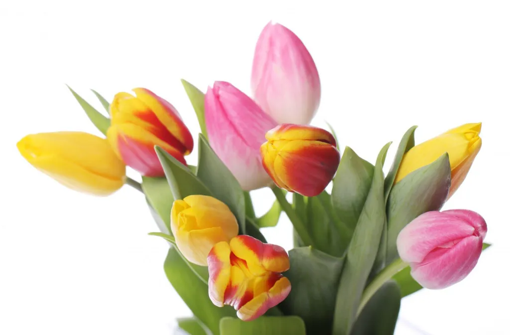 beautiful-bouquet-tulips-colorful-tulips-nature-background_144627-11255.jpg