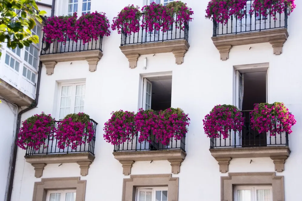 purple-facade_1361-24.jpg