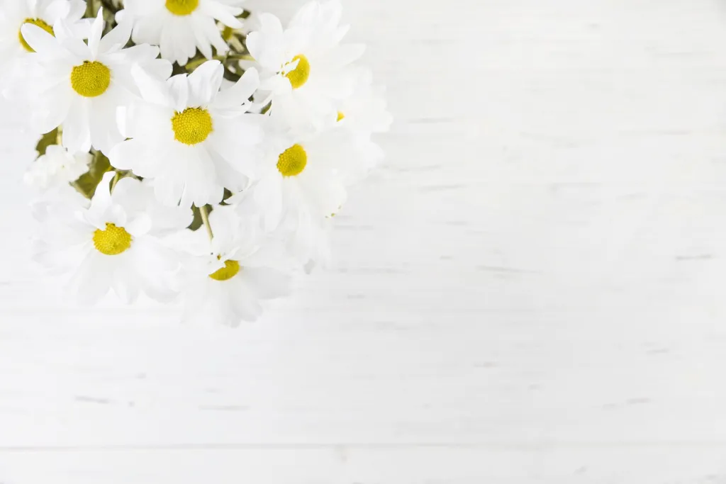 overhead-view-daisy-bouquet-wooden-backdrop_23-2148048401.jpg