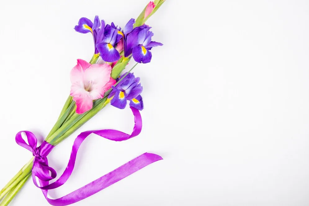 top-view-dark-purple-pink-color-iris-gladiolus-flowers-isolated-white-background-with-copy-space_141793-7625.jpg top-view-dark-purple-pink-color-iris-gladiolus-flowers-isolated-white-background-with-copy-space_141793-7625.jpg