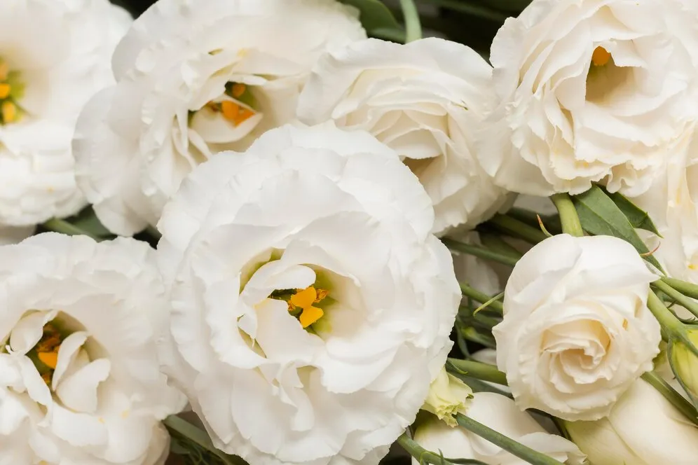 arrangement-beautiful-flowers-background_23-2149057040.jpg