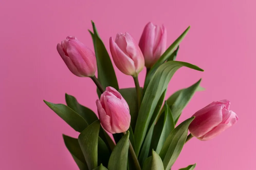 hand-holding-elegant-flower_23-2149376500.jpg
