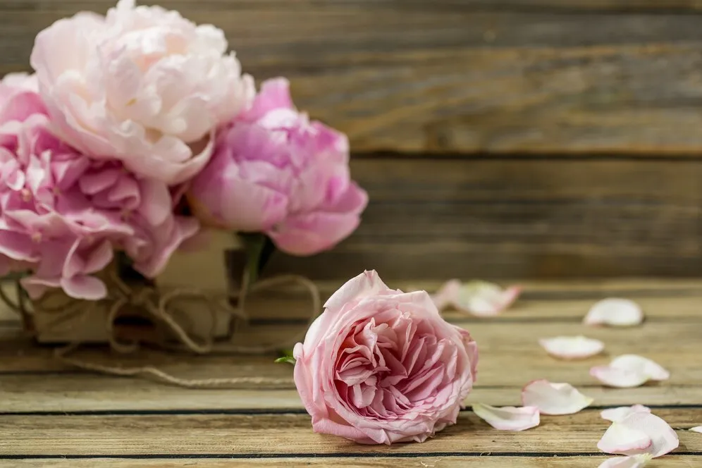 beautiful-fresh-flowers-wooden-background-various-flowers-place-text-closeup_169016-4896.jpg