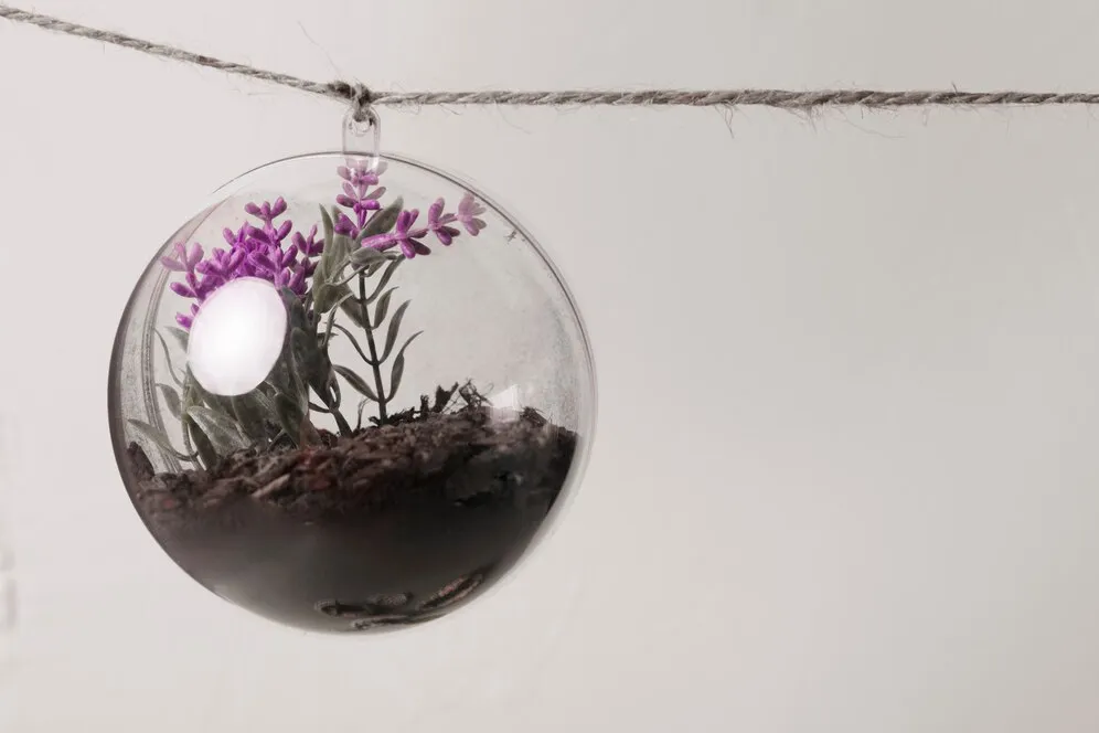 flower-inside-glass-ornament-hanging-from-rope_23-2148207066.jpg flower-inside-glass-ornament-hanging-from-rope_23-2148207066.jpg
