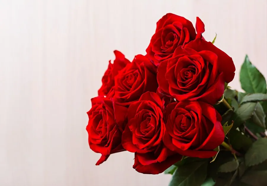 bouquet-red-roses-valentine-s-day_2829-5293.jpg