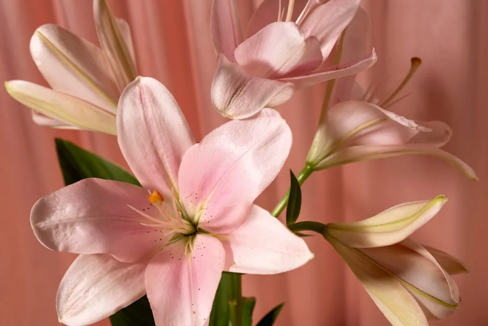still-life-with-flower-arrangement_23-2149307910.jpg