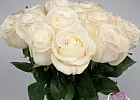 Купить Белая роза (Эквадор) 40 см в  с бесплатной доставкой: цена, фото, описание