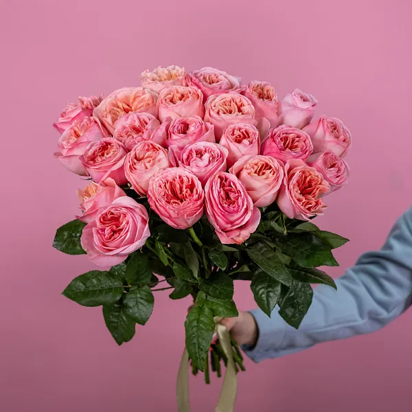 Купить Пионовидная роза 50 см Pink Expression в  с бесплатной доставкой: цена, фото, описание