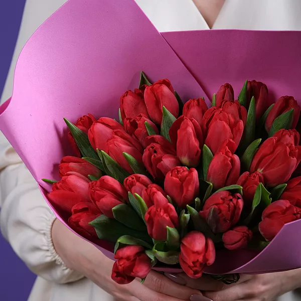 Купить Букет 25 красных тюльпанов в  с бесплатной доставкой: цена, фото, описание