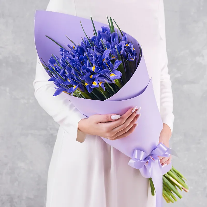 Букет из 35 синих ирисов