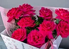 Купить Розовые французские розы в аквабоксе в  с бесплатной доставкой: цена, фото, описание