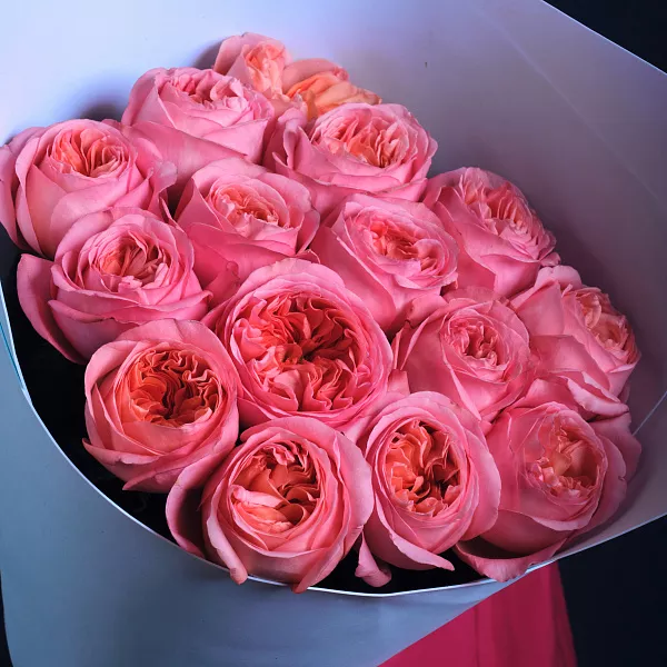 Купить Букет из 15 пионовидных розовых роз 70 см Pink Expression в  с бесплатной доставкой: цена, фото, описание