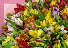 Купить Букет «51 альстромерия» в  с бесплатной доставкой: цена, фото, описание