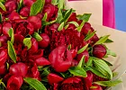 Купить Букет из 101 бордового пиона (Премиум) в  с бесплатной доставкой: цена, фото, описание