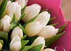 Купить Букет 25 белых тюльпанов в  с бесплатной доставкой: цена, фото, описание