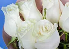Купить Букет из 6 белых роз 50 см (Эквадор) в  с бесплатной доставкой: цена, фото, описание