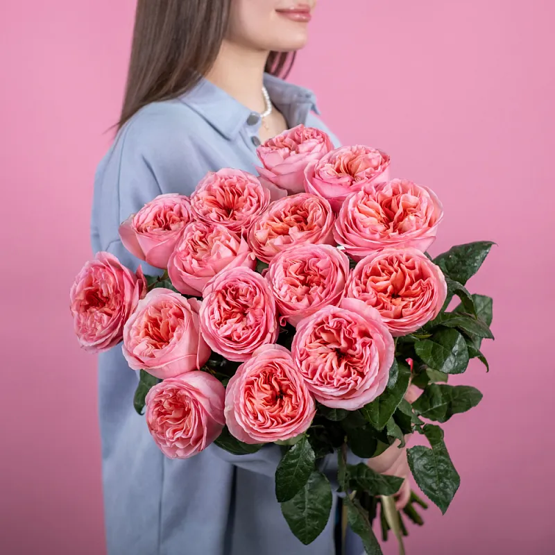 Пионовидная роза 70 см Pink Expression (Эквадор)