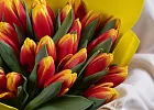Купить Букет 35 красно-желтых тюльпанов в Санкт-Петербурге с бесплатной доставкой: цена, фото, описание