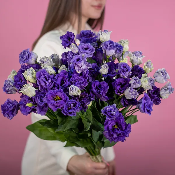 Купить Эустома фиолетовая в  с бесплатной доставкой: цена, фото, описание
