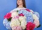 Купить Букет из 25 гортензий микс в  с бесплатной доставкой: цена, фото, описание