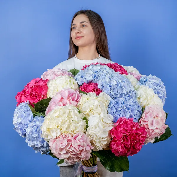 Купить Букет из 25 гортензий микс в  с бесплатной доставкой: цена, фото, описание
