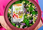 Купить Композиция «Альпийские луга» в  с бесплатной доставкой: цена, фото, описание