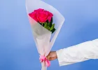 Купить Букет из 4 розовых роз 50 см (Эквадор) в  с бесплатной доставкой: цена, фото, описание