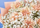 Купить Букет из гвоздик с гипсофилами в  с бесплатной доставкой: цена, фото, описание