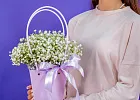 Купить Композиция из гипсофилы в сумочке в  с бесплатной доставкой: цена, фото, описание