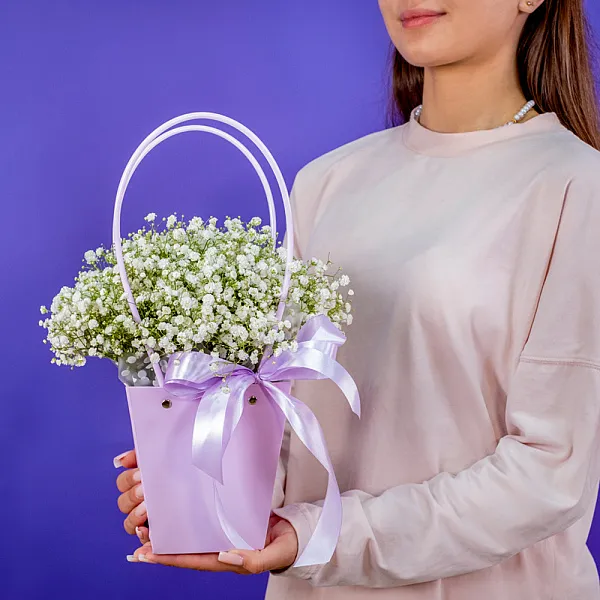 Купить Композиция из гипсофилы в сумочке в  с бесплатной доставкой: цена, фото, описание