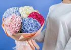Купить Букет из 5 гортензий микс в  с бесплатной доставкой: цена, фото, описание