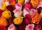 Купить Букет «51 кенийская роза микс» в  с бесплатной доставкой: цена, фото, описание