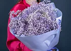 Купить Букет из фиолетовых гипсофил в  с бесплатной доставкой: цена, фото, описание