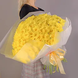 Купить Букет из 35 желтых кустовых хризантем в Санкт-Петербурге с бесплатной доставкой: цена, фото, описание