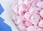 Купить Букет из 45 розовых пионов (Премиум) в  с бесплатной доставкой: цена, фото, описание
