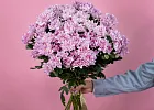 Купить Хризантема кустовая розовая в  с бесплатной доставкой: цена, фото, описание