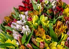 Купить Букет «25 альстромерий» в  с бесплатной доставкой: цена, фото, описание