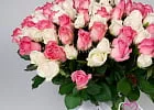 Купить 101 белая и розовая роза 50 см Premium в  с бесплатной доставкой: цена, фото, описание