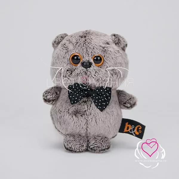 kupit kot basik brelok s bantikom v sankt peterburge s besplatnoj dostavkoj cena foto opisanie