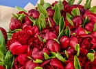 Купить Букет из 101 бордового пиона (Премиум) в  с бесплатной доставкой: цена, фото, описание