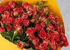 Купить Букет из 25 кустовых роз Фаерфлеш в  с бесплатной доставкой: цена, фото, описание
