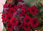Купить Букет из 23 красных мини-гербер и хризантем в  с бесплатной доставкой: цена, фото, описание