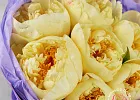 Купить Букет из 7 лимонных пионов (Премиум) в  с бесплатной доставкой: цена, фото, описание