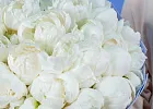 Купить Букет из 30 белых пионов (Премиум) в  с бесплатной доставкой: цена, фото, описание