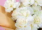 Купить Букет из 15 белых французских роз в  с бесплатной доставкой: цена, фото, описание