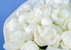 Купить Букет из 20 белых пионов (Премиум) в  с бесплатной доставкой: цена, фото, описание